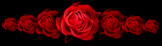 roseborder2.gif